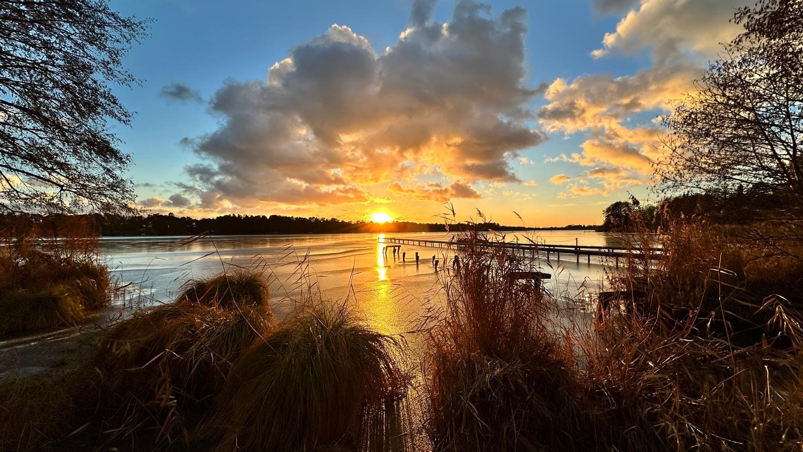 Steg mit Schilf am See bei Abenddämmerung, Kablow