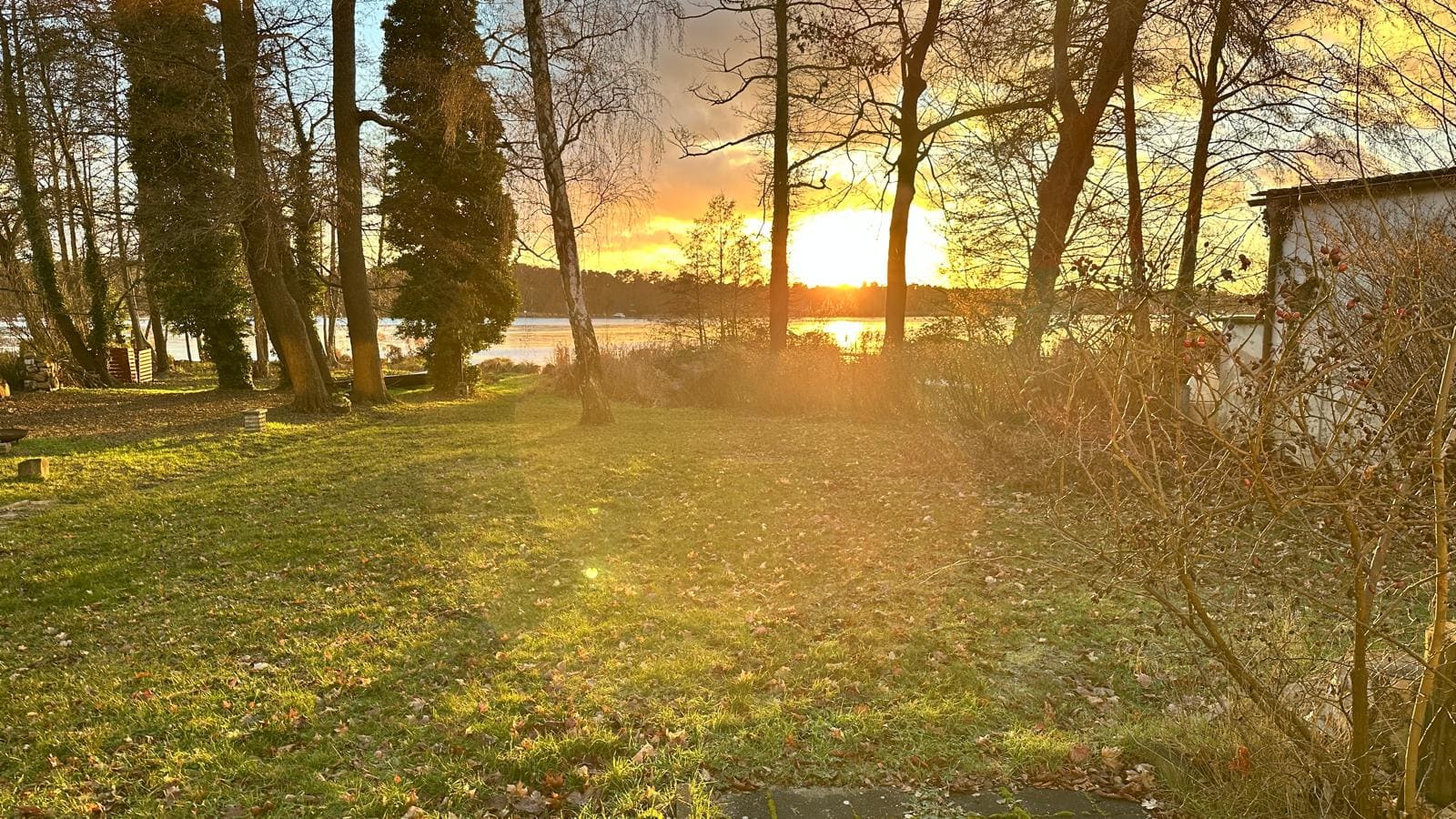 Seeufer mit Garten und Baumbestand bei Sonnenuntergang